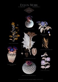 Suzanne TREISTER // HFT/Botanical Prints // 2016