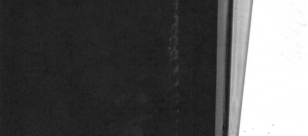 Sylvain Fraysse, Sans titre (Le désastre prend soin de tout), 2026 - Toner sur papier Fabriano 220 gr, 29,7 x 21 cm (c) ADAGP, Paris, 2026