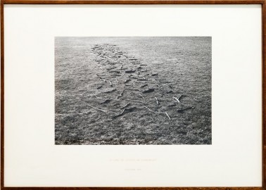 Richard LONG, <em>A Line of Sticks in Somerset</em>, 1974