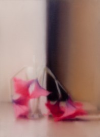 Gerhard RICHTER, <em>Blumen (815-1)</em>, 1994