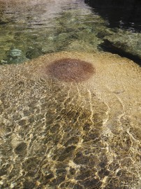 Sébastien Arrighi, <em>Breast, </em>2021